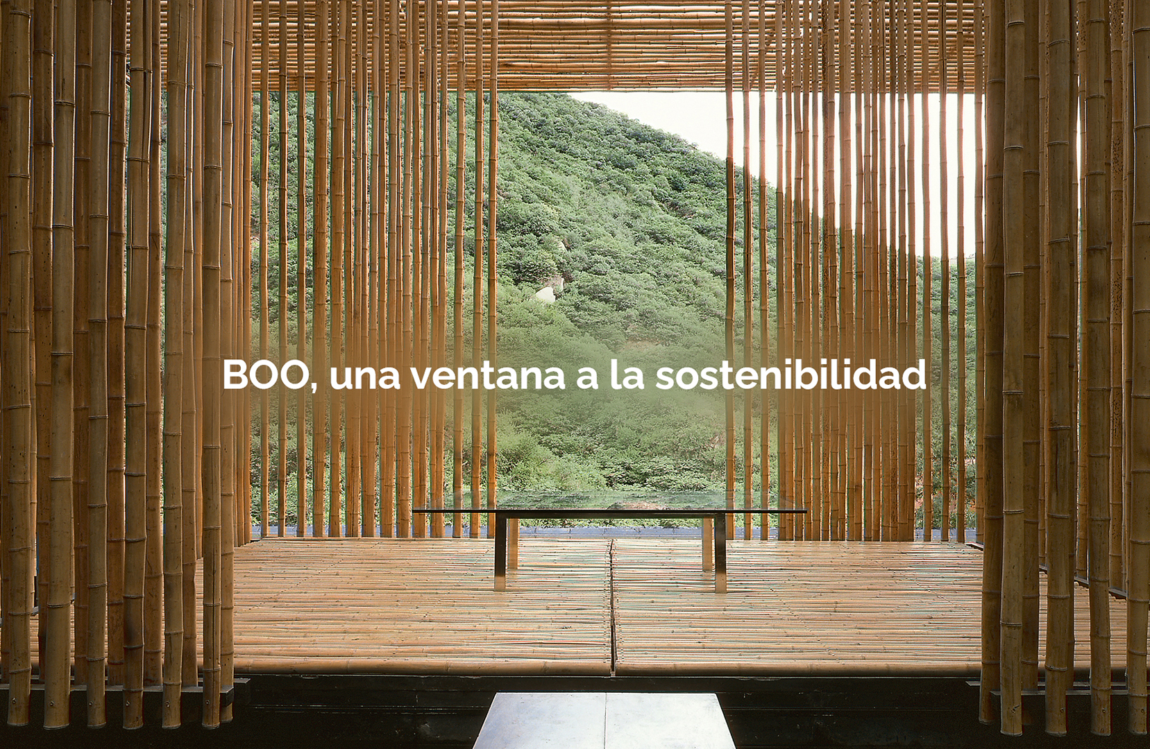 Celosías de bambú - Boo