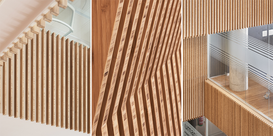 Ceiling, walls and furniture with bamboo slats cladding at General Nursing Council