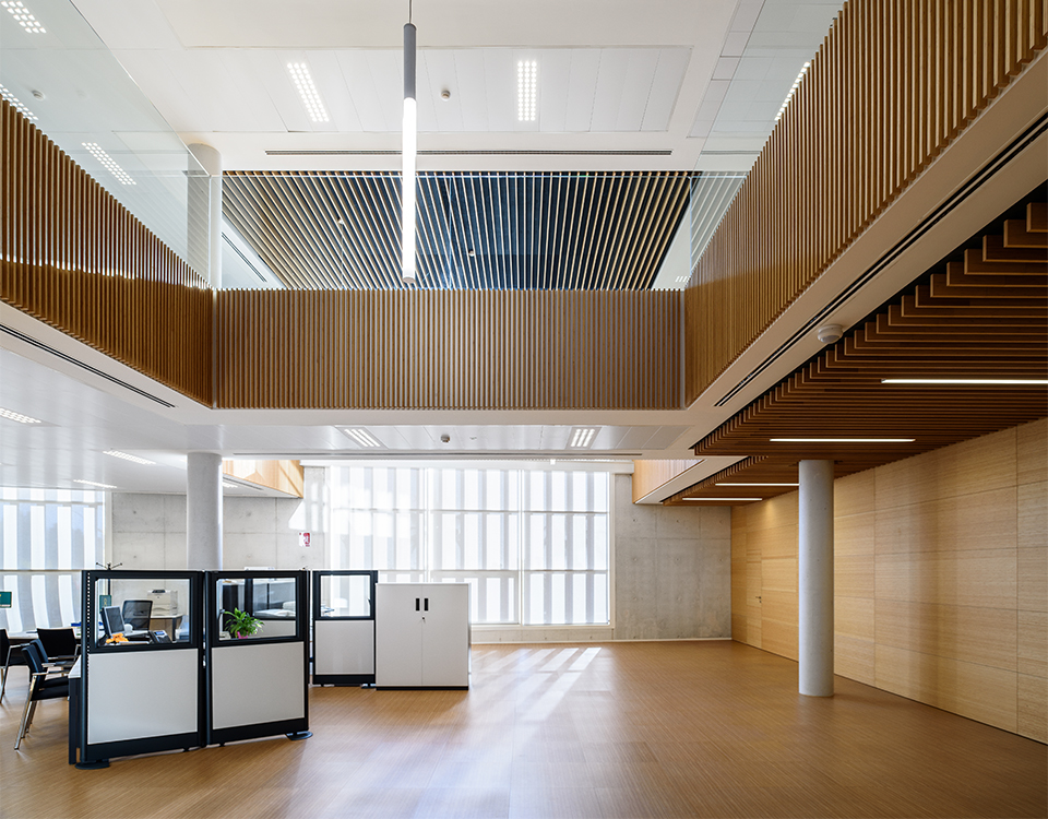 Ceilings and walls clad with bamboo slats